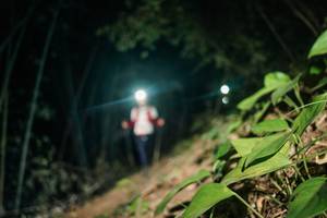 BIB: 
                            <button type="button" onclick="openModal(28154173)" class="btn btn-primary btn-sm float-right btn-popup" data-toggle="modal" data-target=".modal-high-quality">
                        <i class="fas fa-shopping-cart"></i> Add to Cart
                    </button>
                                            <button type="button" onclick="isThisMe(28154173, true)" class="btn btn-success btn-sm float-right btn-popup btn-isme hidden" data-toggle="tooltip" data-placement="bottom" title="นี่คือรูปของคุณใช่ไหม คลิกที่นี่เพื่อเอาเข้าอัลบั้ม">
                        <i class="fas fa-plus"></i> Add to album
                    </button>
                    <button type="button" onclick="isThisMe(28154173, false)" class="btn btn-warning btn-sm float-right btn-popup btn-isnotme hidden">
                        <i class="fas fa-ban"></i> Remove from album
                    </button>